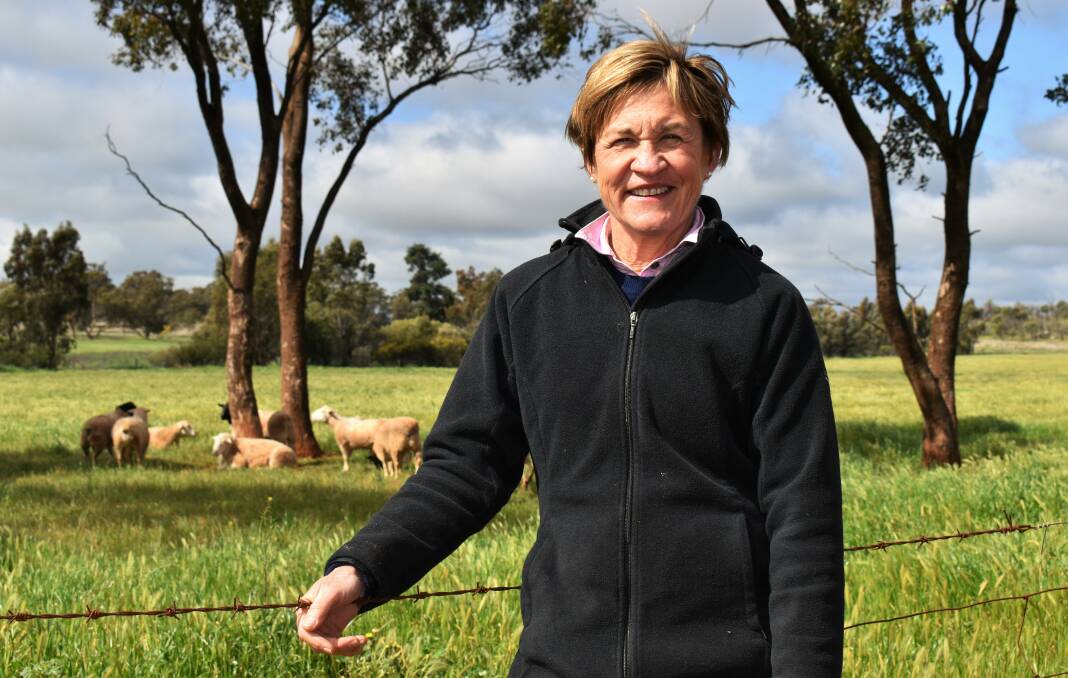 Murray MP Helen Dalton says all potential options should be explored, noting existing concerns in the community over current measures like wind and solar.. Picture supplied
