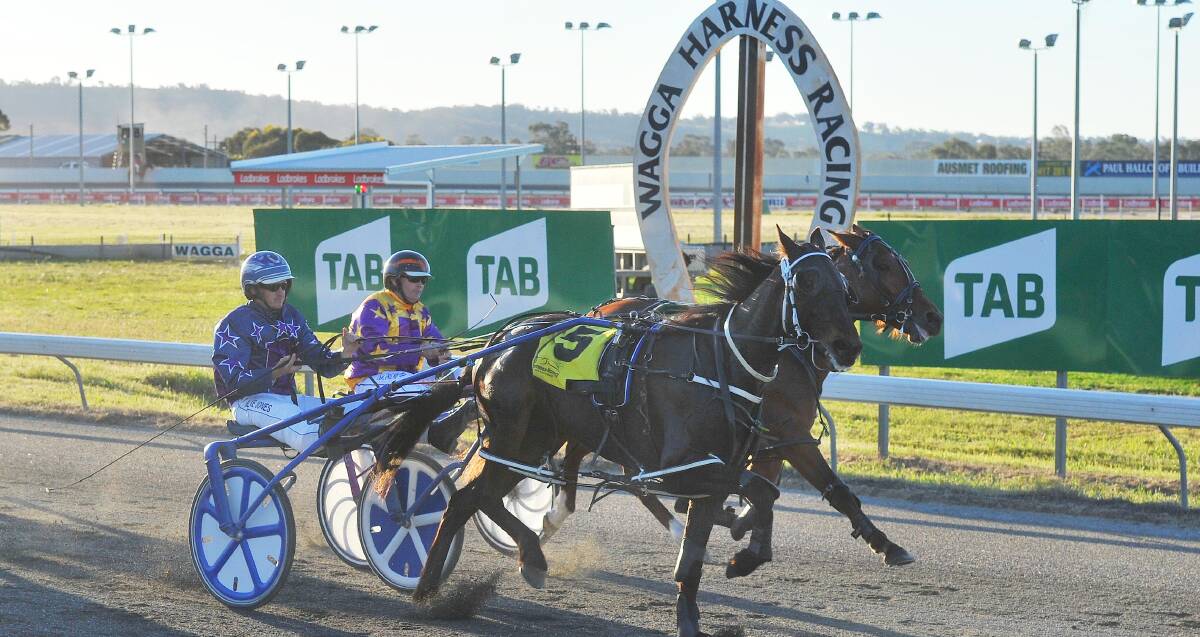 CLOSE CALL: Our Pepperjack runs past Gotta Bewitched to win a Menangle Country Series race at Wagga on Friday. PHOTO: KIEREN L TILLY