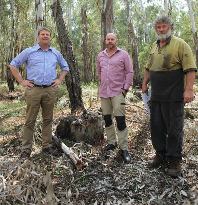 Murray Nationals candidate Austin Evans (left) during a tour of a local River Red Gum national park with sawmillers Ben Danckert and Chris Crump. Photo: Contributed 