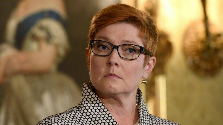 US Secretary of Defence James Mattis and US Secretary of State Rex W. Tillerson meeting Julie Bishop and Marise Payne at Government House, Sydney.
Pictured is  Marise Payne
5th June 2017.
Photo: Steven Siewert