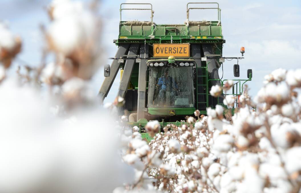 Plenty of rainfall and a promising season means Cotton Australia is expecting a crop next year of about three million bales compared with this year's crop of about 2.5 million bales. 