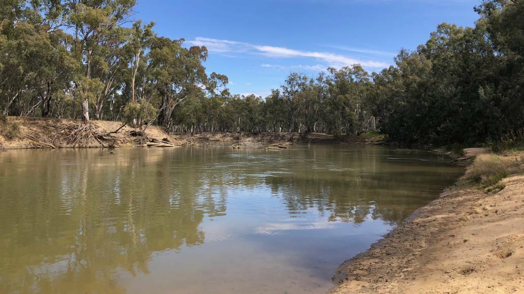 WET: The Murrumbidgee River is on the rise due to recent heavy rainfall, with low-lying residents in Narrandera and Darlington Point warned. PHOTO: Talia Pattison