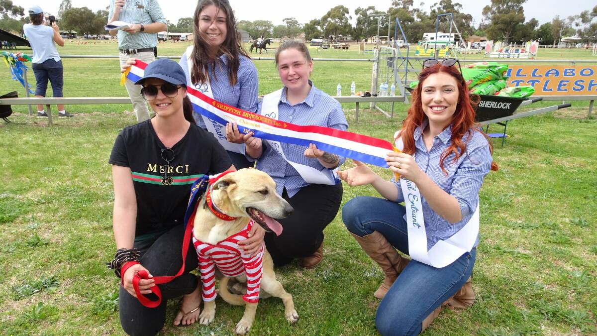 WHERES WALLY: The winner of the 'Best Dressed' category in the 2019 novelty dog show poses alongside his owner and some of the showgirls. PHOTO: Griffith Show Society