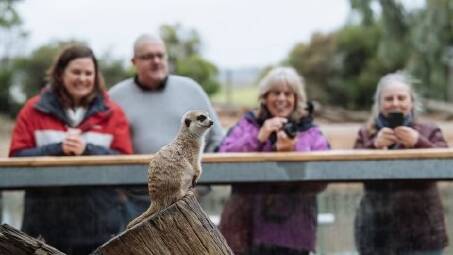 As part of events Darlington Point will host a mini zoo adventure to Altina Wildlife Park, followed by a luncheon at the Darlington Point Sports Club. Picture supplied