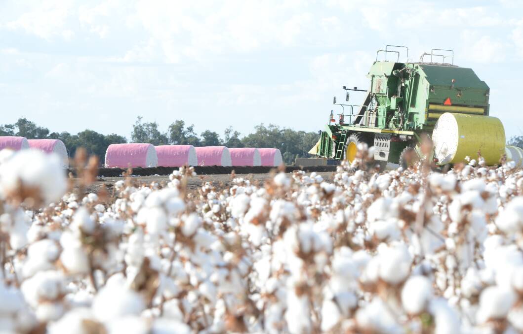 Despite less available water for crops this summer, cotton sector sentiment has bounced after recent rain and surging prices. 