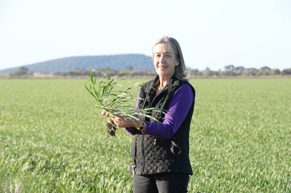 Buller Pastoral Co's Debbie Buller: "Some of those winter crops are going to go down, which is ridiculous.
