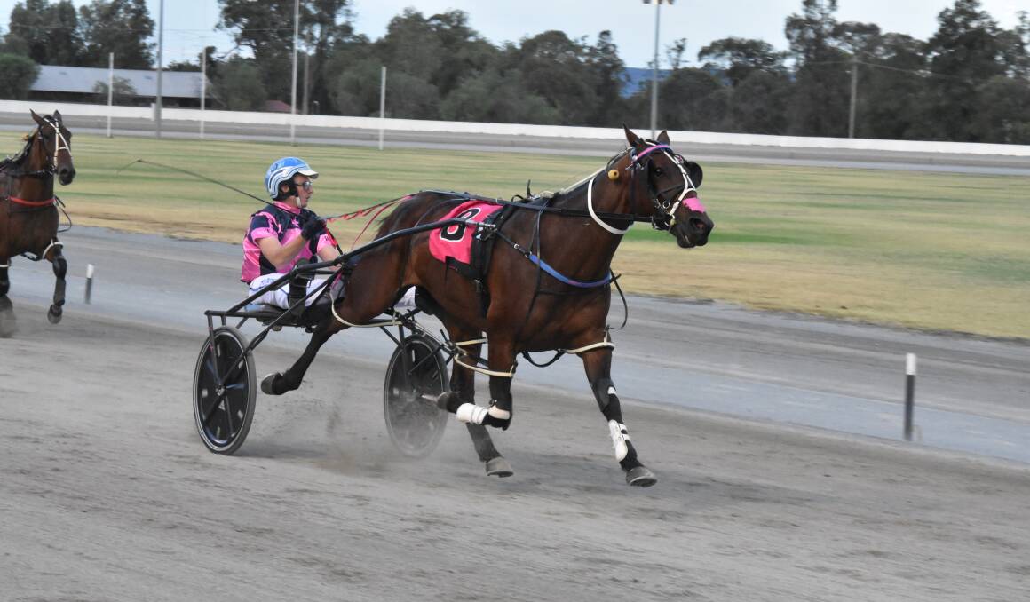 DOMINANT WIN: The Brooke McPherson-trained Rusty Crackers registered a dominant win in Friday night's Leeton Pacers Cup. Picture: Courtney Rees