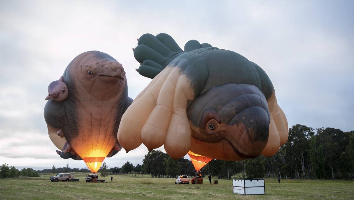 Skywhalepapa and Skywhale fire up for a test flight. Picture: Keegan Carroll