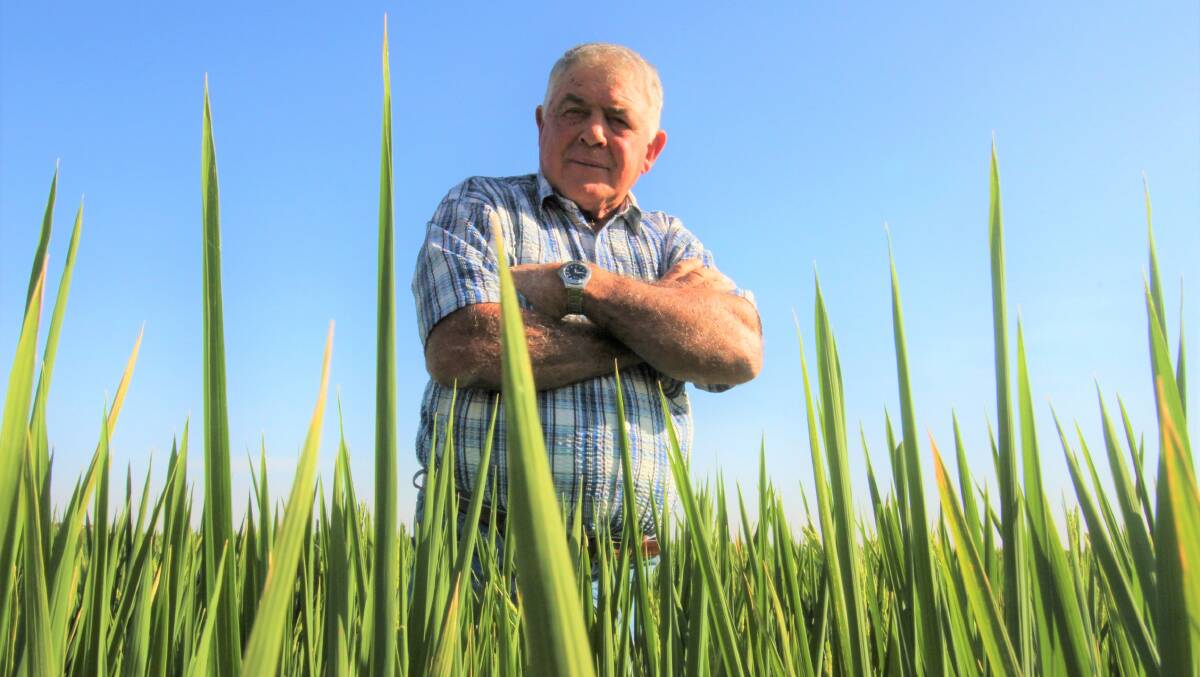STAND UP: Rice grower John Bonetti says we need to stop relying on government to make water decisions, and bring back individual accountability and moral choices. PHOTO: Jacinta Dickins