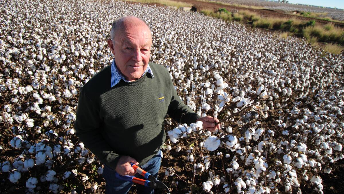 COTTON ON: Based in Griffith, Kieran O'Keeffe is one of three Cotton Seed Distributors Researcher of the Year Award finalists for 2019. PHOTO: Jacinta Dickins