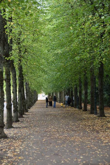 SNAP: A family makes the most of tree-lined corridor within Hofgarten.