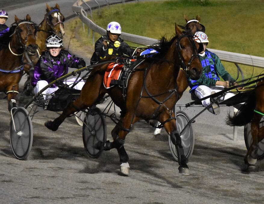 BREAKTHROUGH WIN: Molly Turton urges Spooky Dreams to the line on the way to her first win as a driver on Friday night. Picture: Courtney Rees