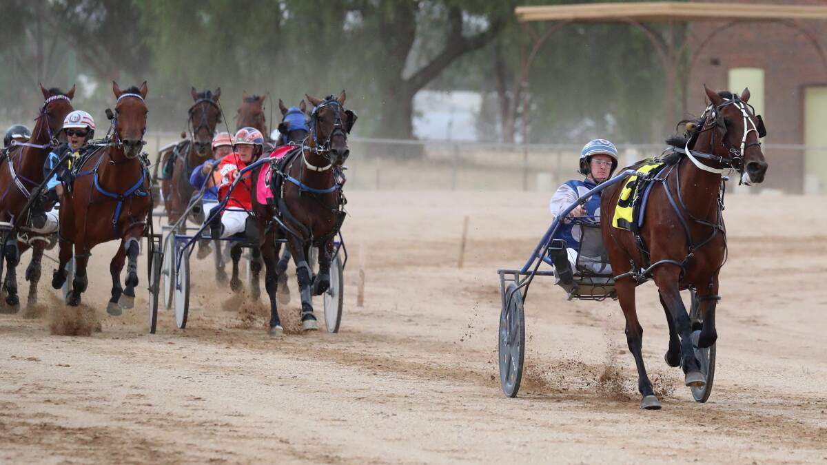 RUNNING AWAY: Jive Dancing clears out from her rivals to win the Ferndale Distributors Heat 1 at Temora on Saturday. The $12,000 final is on Saturday. Picture: Les Smith