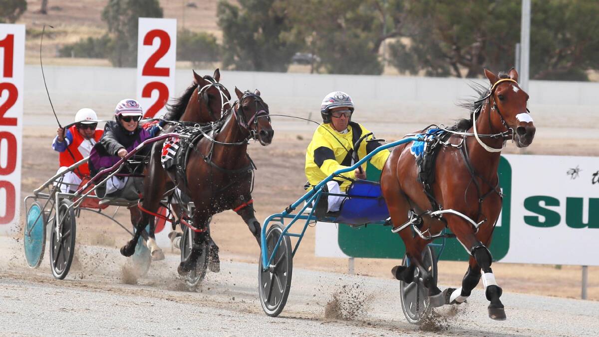 AWAY SHE GOES: Cams Pearl proved too strong in the opening race at Riverina Paceway for Anthony Deep and Shane Hallcroft on Saturday. Picture: Les Smith