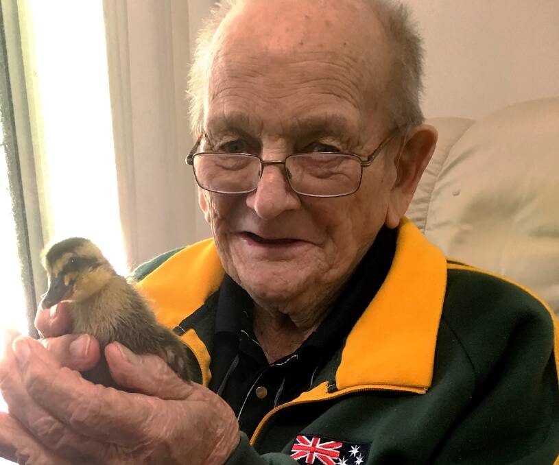 New Arrival: Cypress View Lodge resident Ted Hill with the latest arrival, a duckling named Plucka. Picture: Supplied