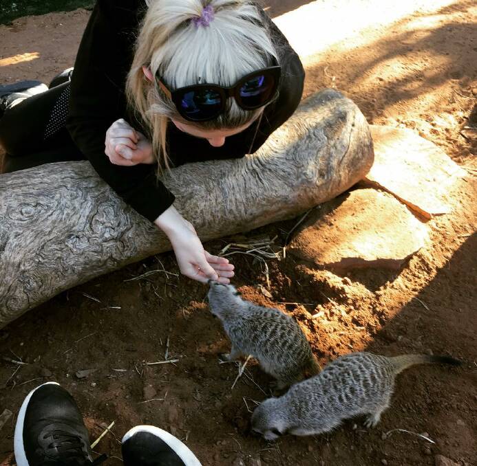WILD TIMES: Instagram user nikitadickinson posted this picture "today I got to play with meerkats" from Altina Wildlife Park at the weekend.
