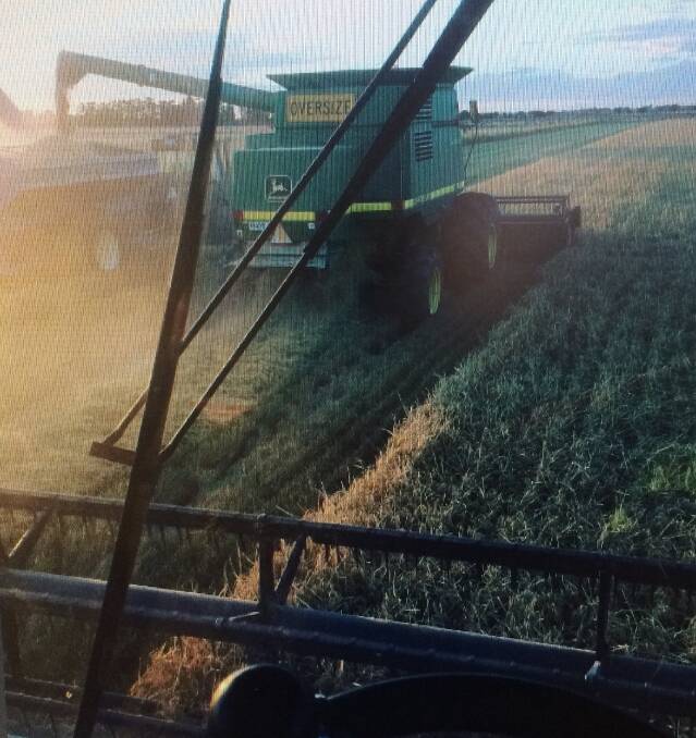 HARVEST: Instagram user nutsackjack posted this picture recently of the 2017 rice harvest. Send your pictures to rivcontributors@fairfaxmedia.com.au.