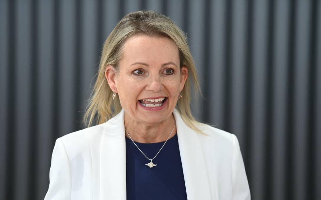 Sussan Ley has welcomed a council exploring citizens' thoughts on nuclear energy plants in the southern Riverina. Picture by Mark Jesser