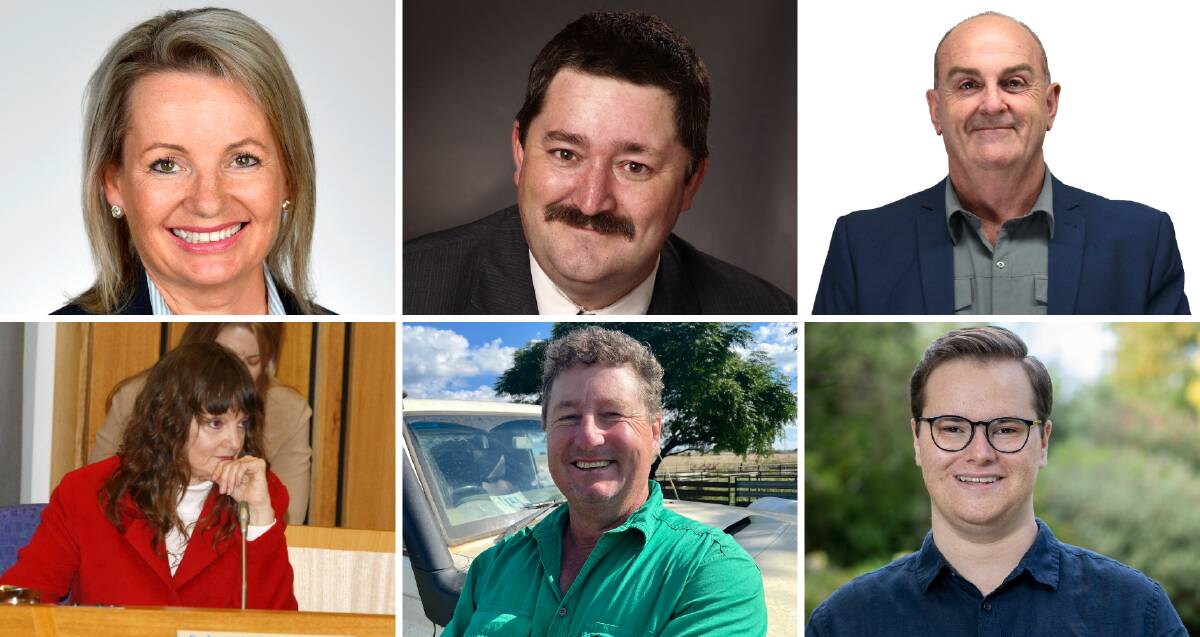 FINAL SAY: Six of the eight Farrer candidates who have given their last say on why residents should vote for them on Saturday. They are (top) Sussan Ley, Darren Cameron, Paul Britton, (bottom) Amanda Duncan-Strelec, Ian Roworth and Eli Davern. Absent: Julie Ramos and Richard Francis. 