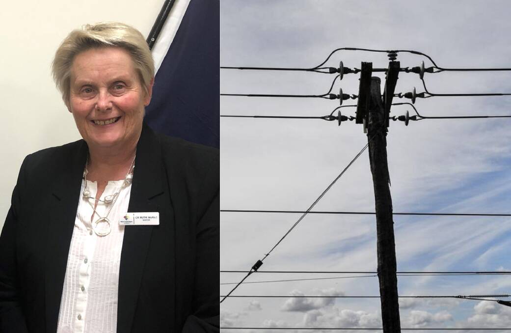OPPORTUNITY: Mayor of Murrumbidgee Council, Ruth McRae, talks about Project EnergyConnect. PHOTO: Supplied