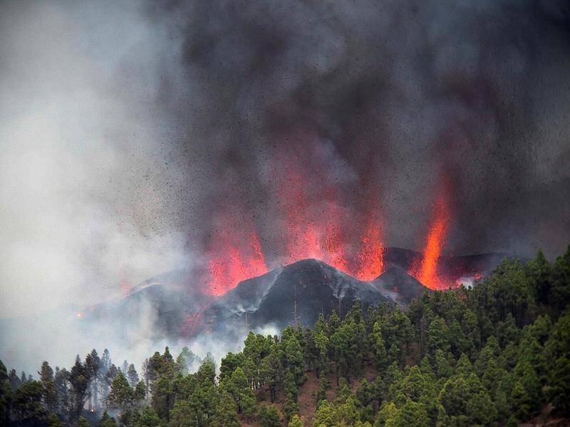 At least 5000 people had to evacuate after a volcano erupted on the Spanish island of La Palma.