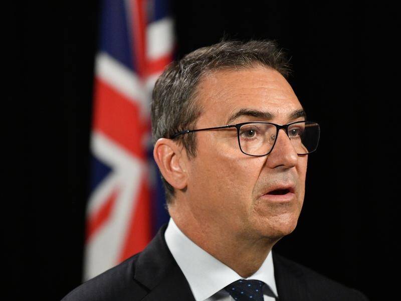 "We can't wait to welcome people from NSW with open arms," SA Premier Steven Marshall says.