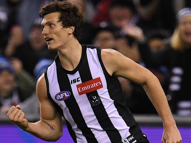 Collingwood star Brody Mihocek is relishing his new role as a poacher in his debut AFL season.