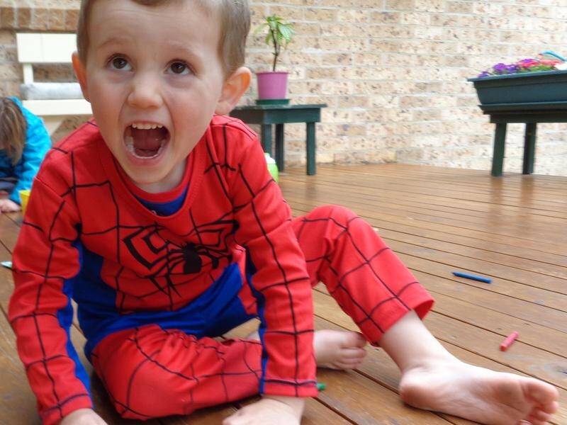 Witnesses will take the stand next week at the inquest into the disappearance of William Tyrrell.