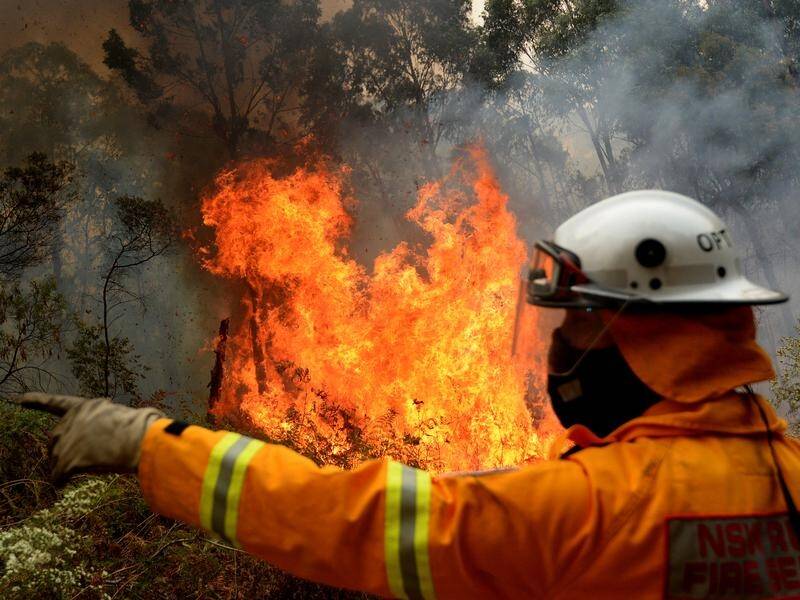 Widespread severe fire danger is expected across NSW again next week.