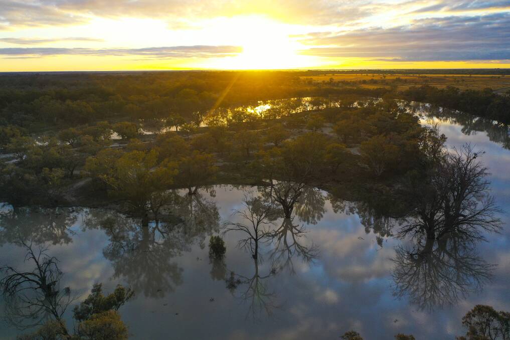 A bend in the Darling River, a critical artery in the vast river system of the Murray-Darling Basin. Picture: John Hanscombe

